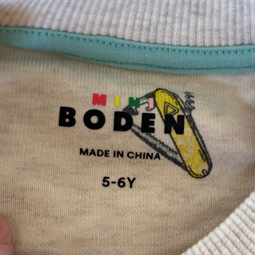 Boden Beige Boys Frogs Fish Canoes Birds Sweatshirt-5-6 YEARS OLD - Picture 3 of 7